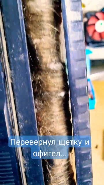 По ходу пылесос снял скальп 😂 смотреть онлайн