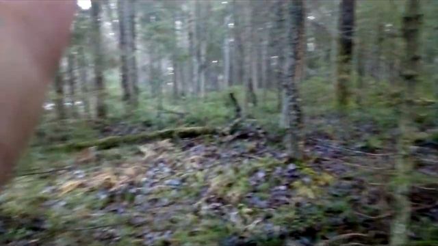 фильм берегите ПРИРОДУ!!!!!!!!!!! смотреть онлайн