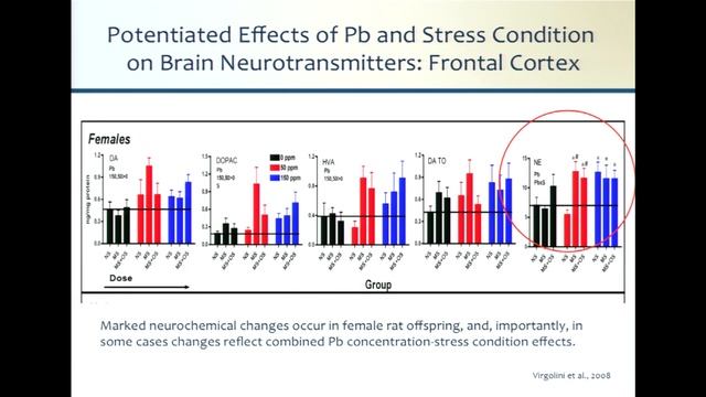 Brain Impacts by D. Cory-Slechta | Cumulative Impacts Affect Kids 3 смотреть онлайн