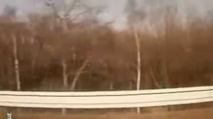 Молчание доктора Ивенса