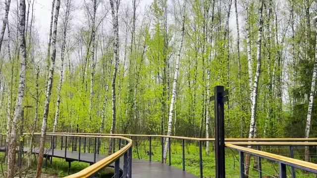 Узнав, что Полина уволилась с работы, свекровь приехала разбираться. смотреть онлайн