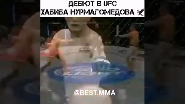 Дебют Хабиба Нурмагомедова в UFC смотреть онлайн