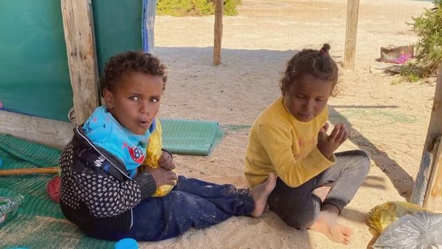 Marsa Alam, luty 2020 (3) смотреть онлайн