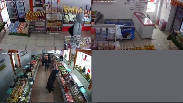 Кража в мясном магазине Батайска