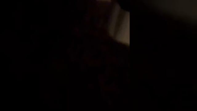 Phoenix - Trying To Be Cool (Live @ Berkeley 2022) смотреть онлайн