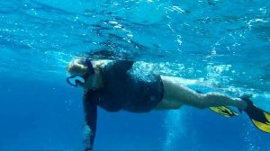 Malikia Resort Abu Dabbab. Marsa Alam. Egypt. Часть 2. Снорклинг в бухте Abu Dabbab.