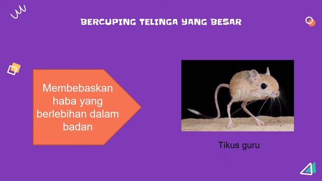 SAINS TAHUN 5 : Haiwan melindungi diri daripada cuaca melampau смотреть онлайн
