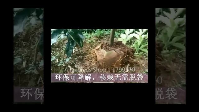 Биоразлагаемые мешки для рассады.Biodegradable Bags For Seedling