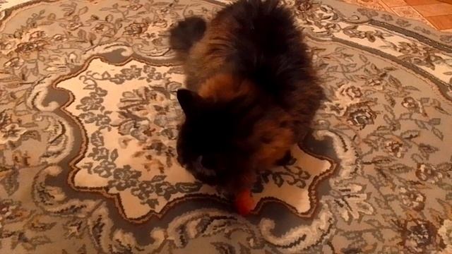 Кот Марс. Бой с ветчиной. Покусал и ушёл. смотреть онлайн