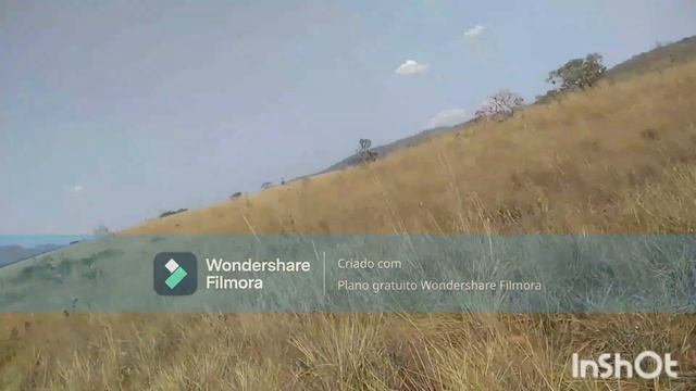 Bamboo Dance, 2024  By Trinity AirBlue And ROM OC: MK 80,  SY 77,  JB 800, TRINITY & Oberheim M 100