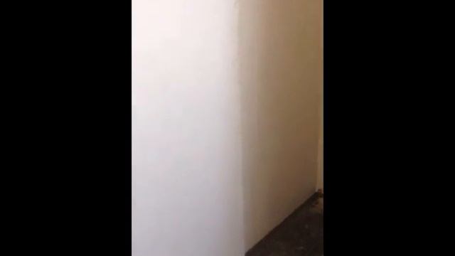 Empreiteira Marido de Aluguel смотреть онлайн