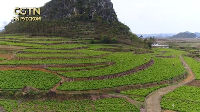 Чуньфэнь, или весеннее равноденствие, в Китае смотреть онлайн