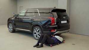 2022 Hyundai Palisade - Замена ламп в задних фонарях