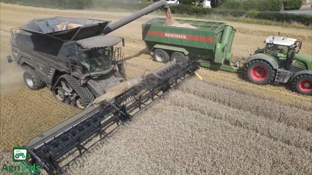 Fendt Ideal 10T Joystick Steering Harvesting Wheat 2023 смотреть онлайн