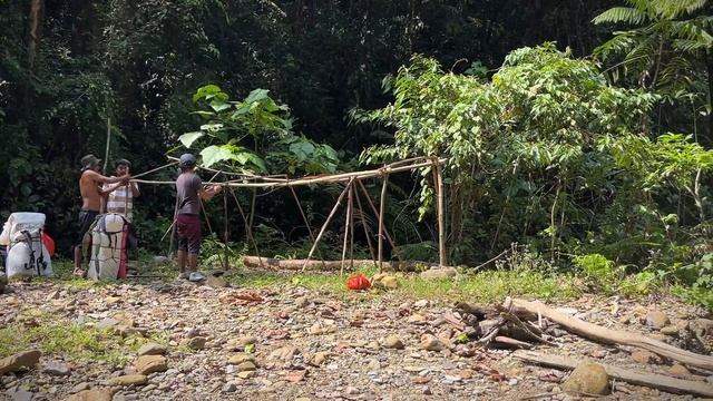 Поход в джунгли, где живут орангутаны.  Трекинг на пять дней в Bukit Lawang