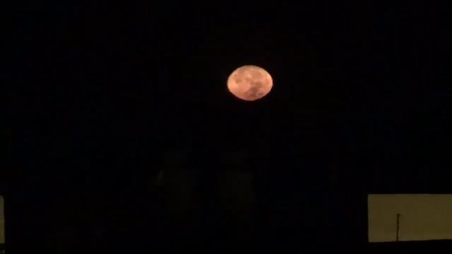 Утро с яйцевидной луной смотреть онлайн
