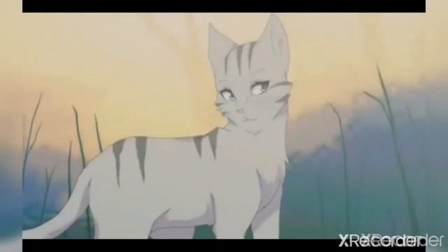 Коты воители | Крутобок клип Комета | ( ЗАКАЗ ) смотреть онлайн