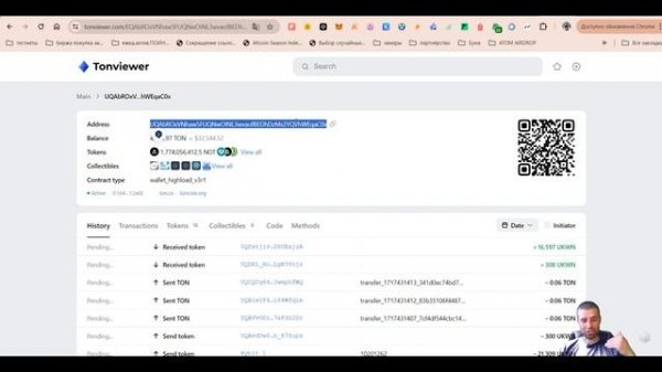 Notcoin токены не пришли Как вернуть токены Ноткоин Где безопасно хранить Not Ton для оплаты комисс