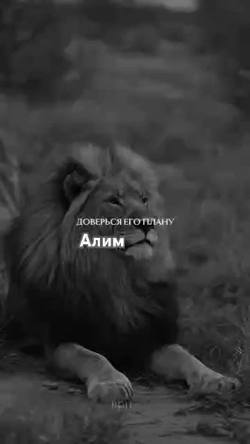 23 июня 2024 г. смотреть онлайн