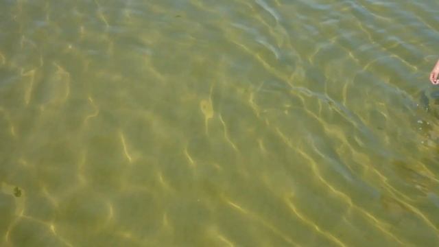 ВІДКРИТТЯ КУПАЛЬНОГО СЕЗОНУ В КОБЛЕВО 2018 смотреть онлайн