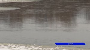 Ледоход зафиксировали на Оке в Павлово Нижегородском регионе