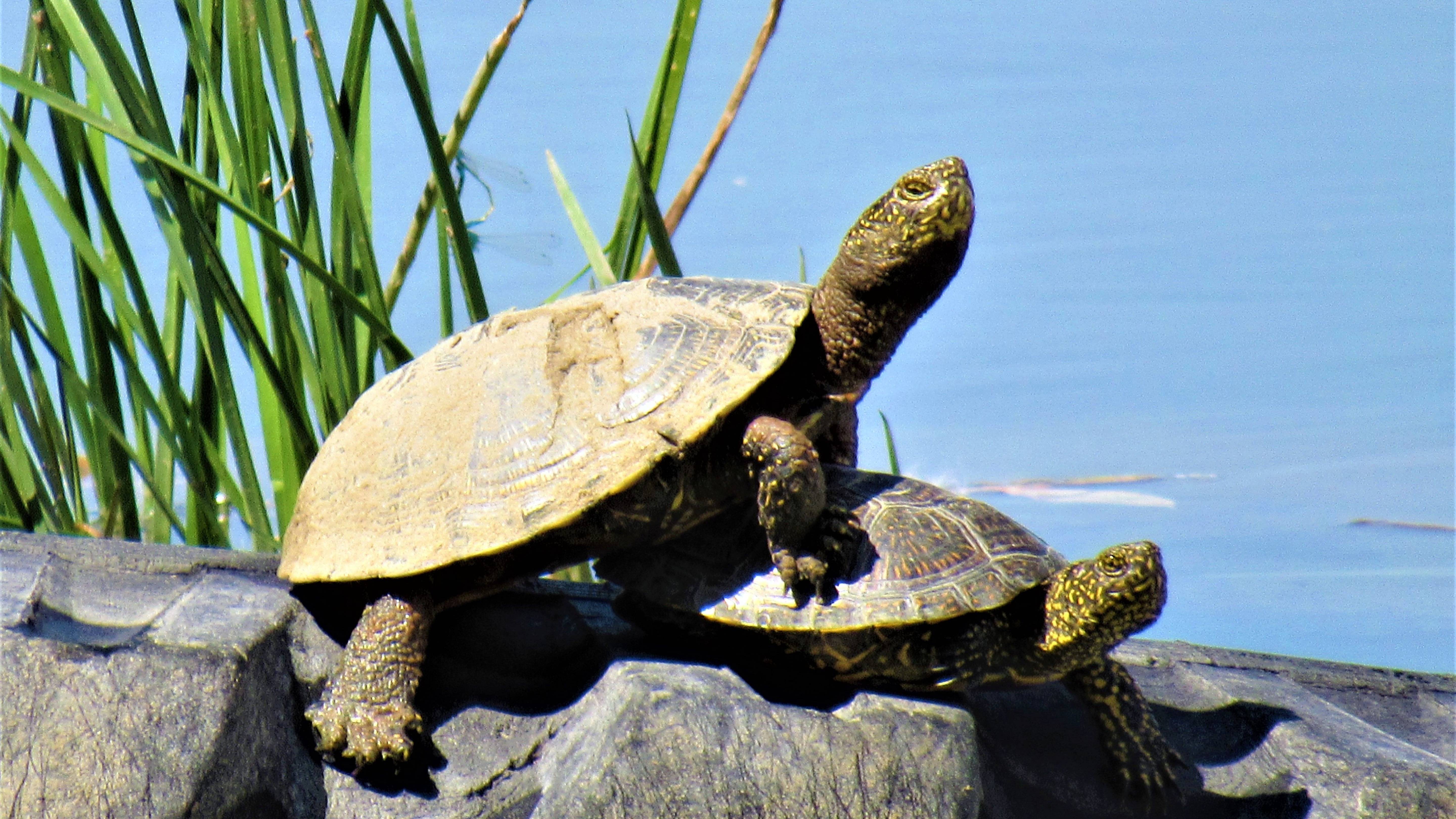 Фотопейзажи Астраханской области (лето 2022) смотреть онлайн