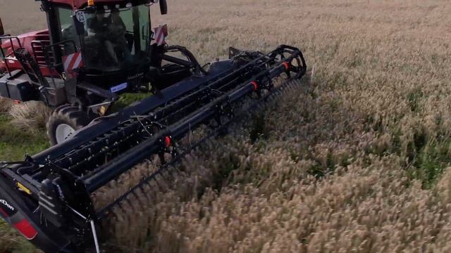 MacDon M1170NT Stéphane Gaudillier Testimonial смотреть онлайн