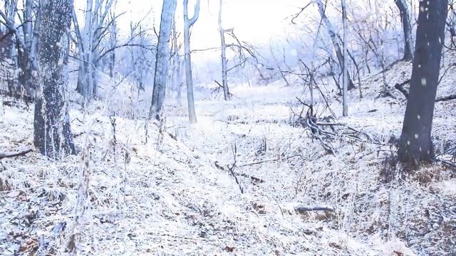 Fake Snow in Blender - TEASER смотреть онлайн