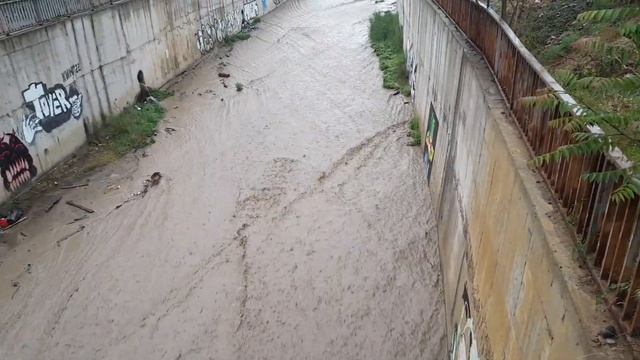 Природа это Прекрасно❤️ #счастьевпростом #мир #планета #счастьеэто #интересно #природа #прекрасно смотреть онлайн