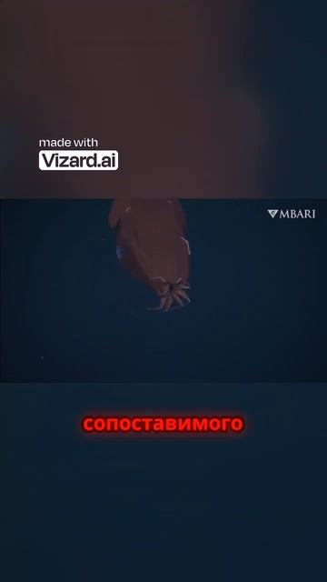 Кальмар вампир загадочный обитатель глубоководных просторов смотреть онлайн