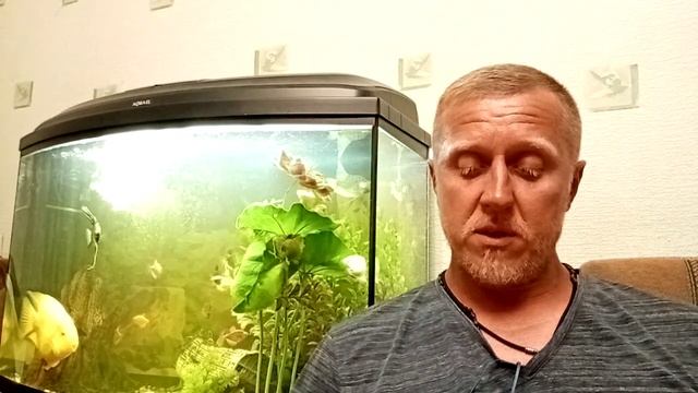 Муми-тролль и комета. Глава 13. Шляпа волшебника. Вступление смотреть онлайн