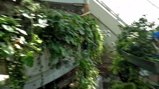 Дубай 2024 Green Planet - Грин планет Дубай необычная оранжерея смотреть онлайн