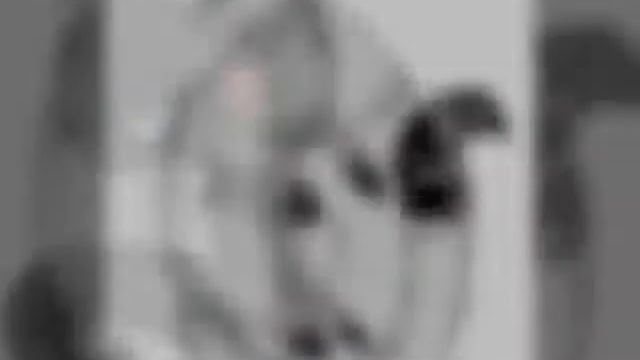 История Блёстки/Часть 1 смотреть онлайн