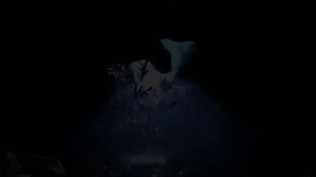 Plasmoids: What Or Who. Плазмоиды: Что или Кто.