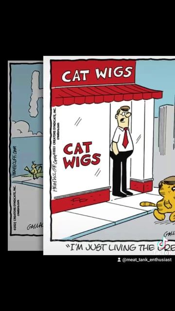 Heathcliff and Sonja! смотреть онлайн