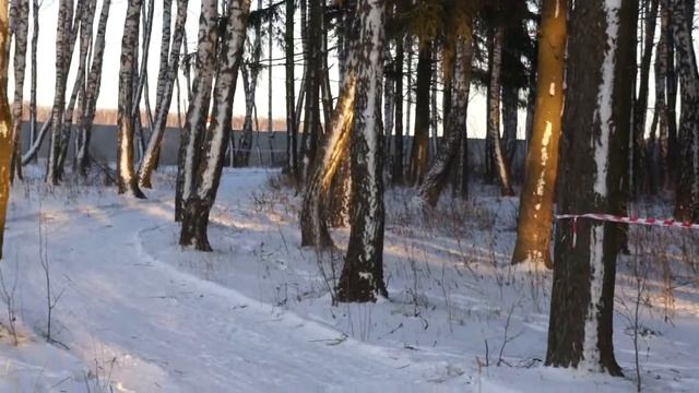 Созвездие Финиш Алексей смотреть онлайн