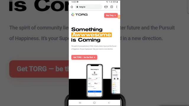 Hướng dẫn điền form xác minh phân phối dự án TORG round 1 смотреть онлайн