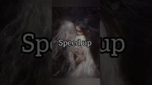 последняя любовь (MORGENSTERN ) speed up