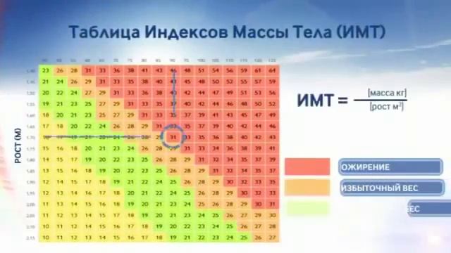 Система естественного снижения веса Wellness смотреть онлайн