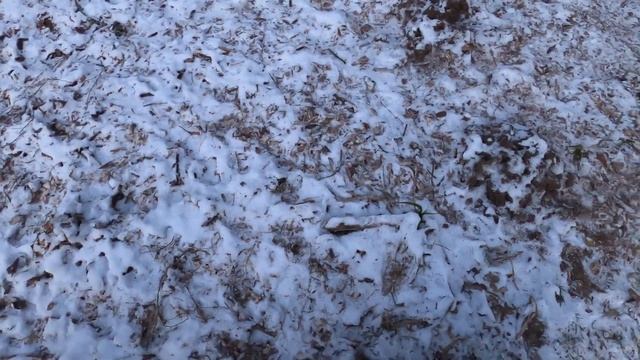 Спарринг Космоса