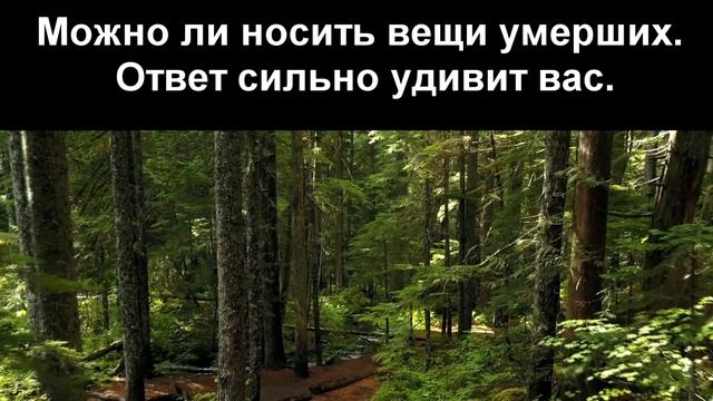Можно ли носить вещи умерших смотреть онлайн