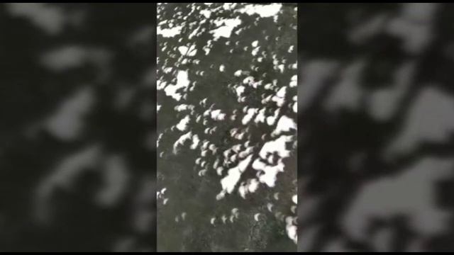 AНДИЖОНДАГИ КУЁШ ТУТИЛИШИ смотреть онлайн