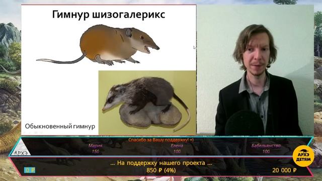 Занятие "Сокровищница неогеновых зверей" кружка "Динозавры и не только" с Ярославом Поповым смотреть онлайн