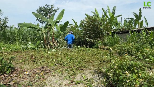 Cleaning the house of an 80-year-old woman who is overgrown with grass.Abandoned by her unfilial so смотреть онлайн