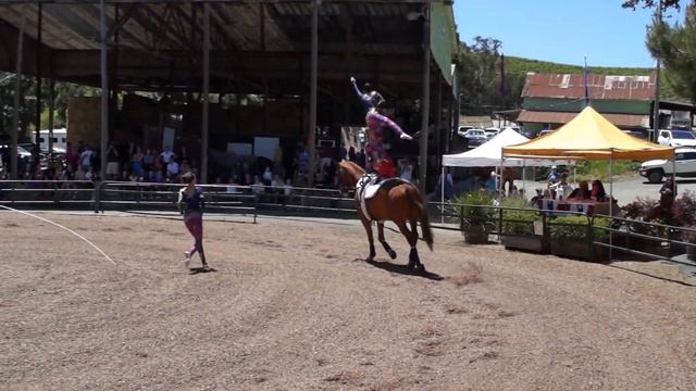 Team Cosmos Freestyle 2016 смотреть онлайн