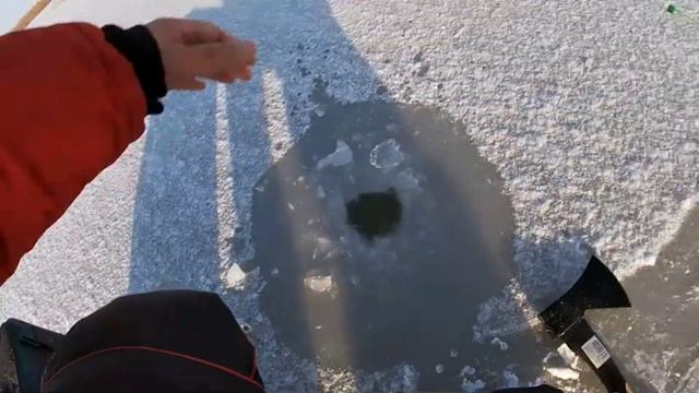 Первый лёд 2020-2021!!! Лёд трещит, окуня ЖРУТ!!! Опасный лёд, ловля окуня по самому первому льду. смотреть онлайн