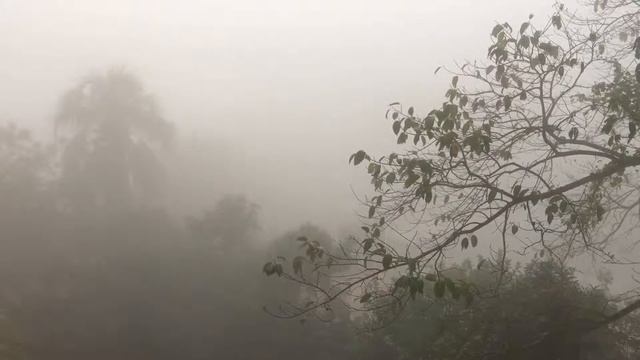 Звуки утра ... Morning sounds ... смотреть онлайн