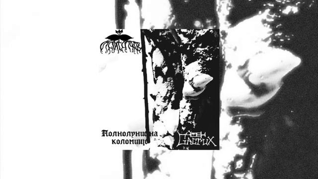 Incipit Chaos/Gacrux (RU) - Полнолуние на коломище (2024, split) смотреть онлайн