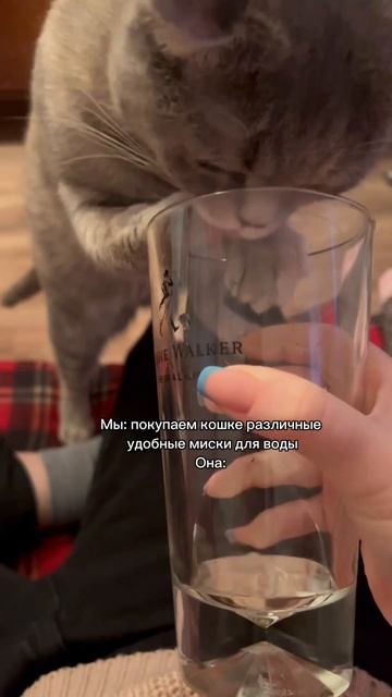 Дома нужно пить из бутылок 😂 смотреть онлайн