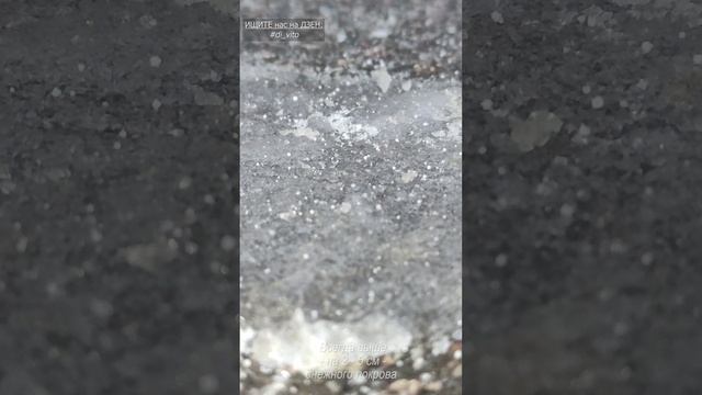 Загадочные СЛЕДЫ на АСФАЛЬТЕ! смотреть онлайн